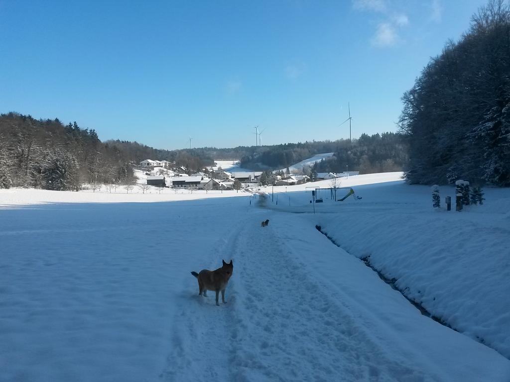 Ferienwohnung Am Kapellenäcker Neumarkt in der Oberpfalz Exterior foto